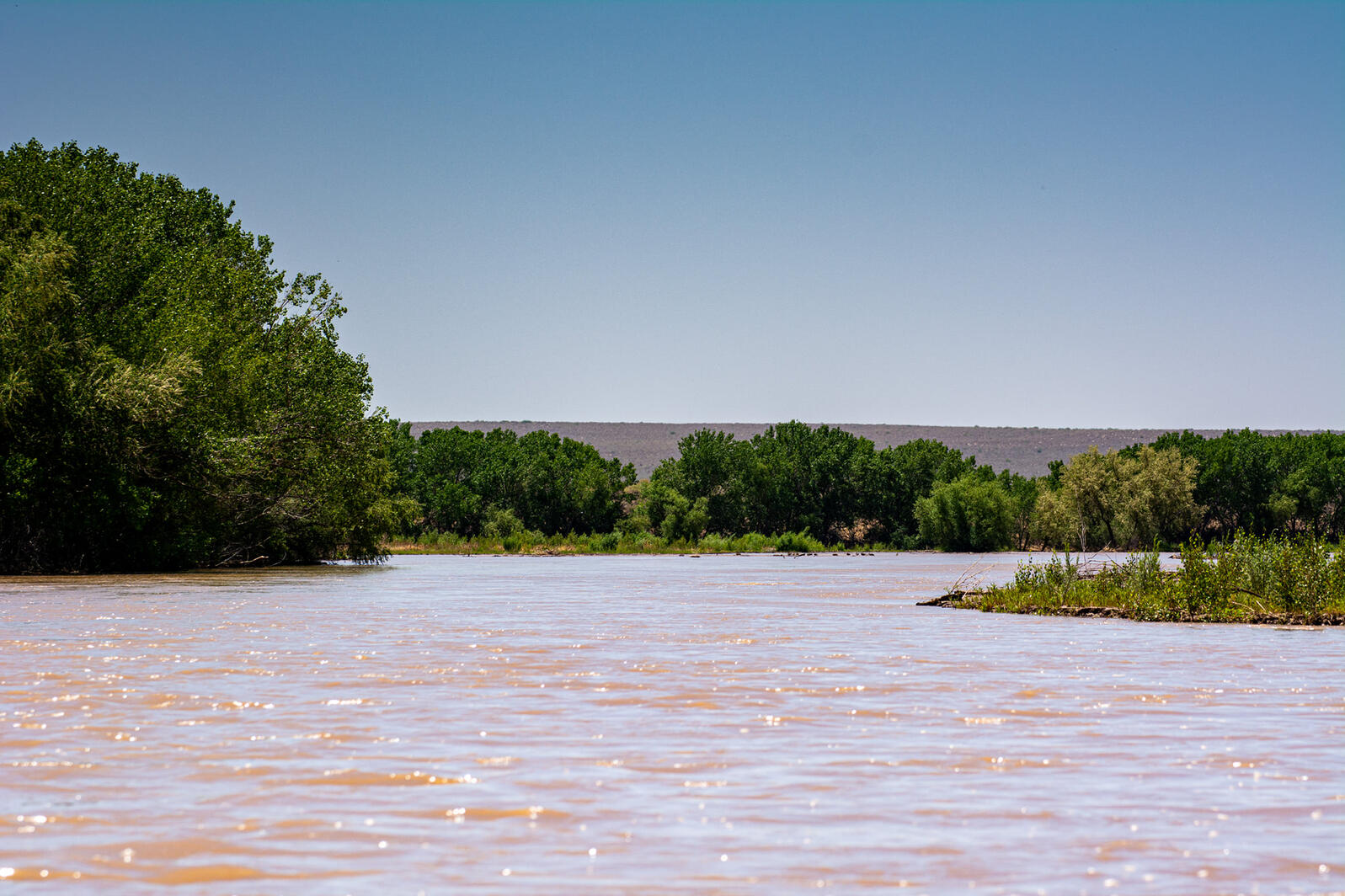 The Rio Grande at Bosque del Apache NWR