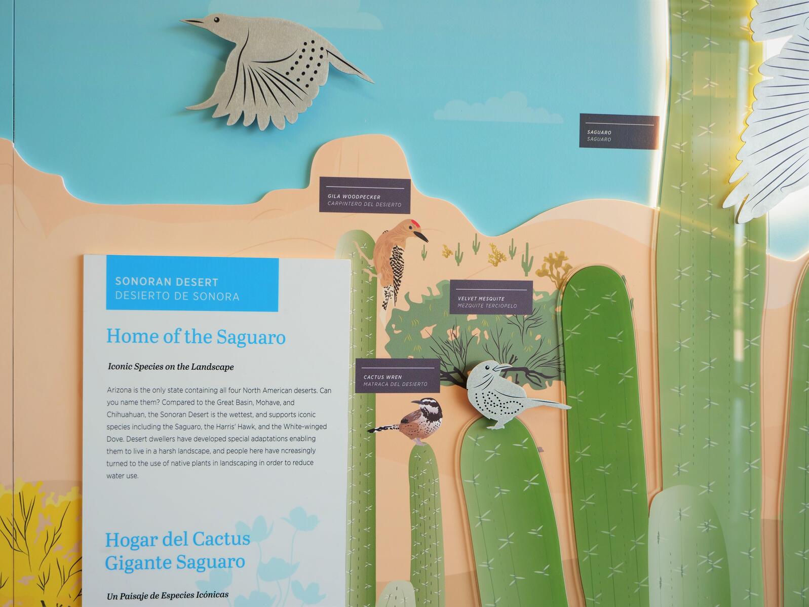 A feature of the new exhibits at the Rio Salado Audubon Center