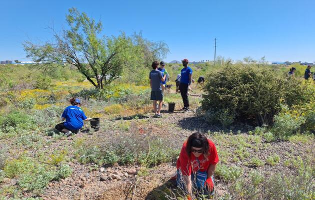 Family Workshop: Invasive Species Showdown