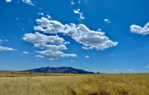 Potluck Presentation: Conserving Southwestern Grasslands