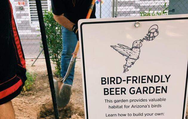 Arizona's First Bird-Friendly Beer Garden