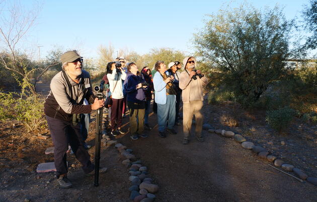 Saturday Morning Guided Birding