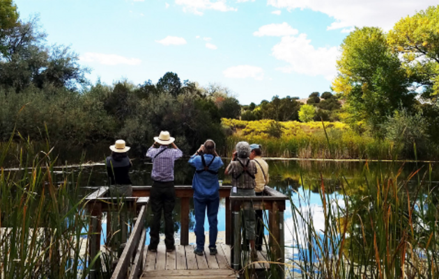 Migratory Bird Day Tour at Leonora Curtin Wetland Preserve