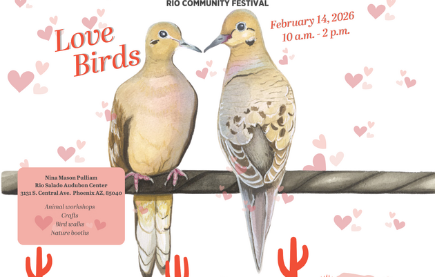 Love Birds: Rio Community Festival