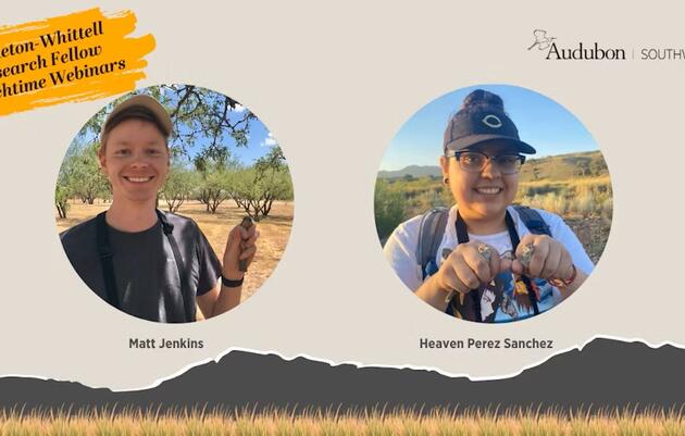 2025 Appleton-Whittell Research Fellow Lunchtime Webinars