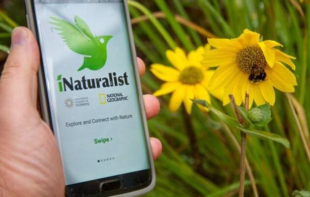 iNaturalist & City Nature Challenge Introductory Workshop