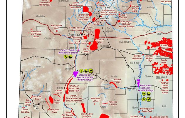 Priority IBAs in New Mexico