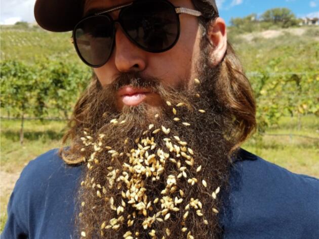 Keeping Beer and Rivers Flowing
