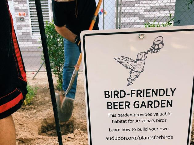 Arizona's First Bird-Friendly Beer Garden