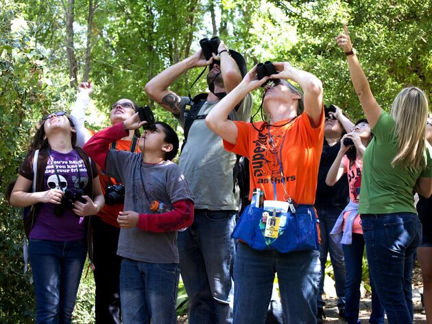 Great Backyard Bird Count