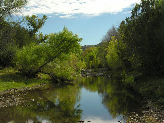 Western Rivers Action Network