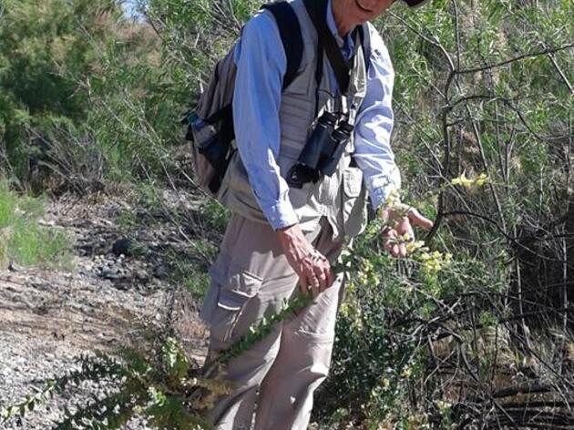 Let the Rivers Do the Talking – An AZ WRAN Volunteer Highlight