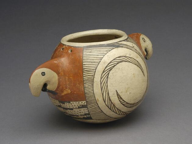 Audubon Day at the Center for New Mexico Archaeology 