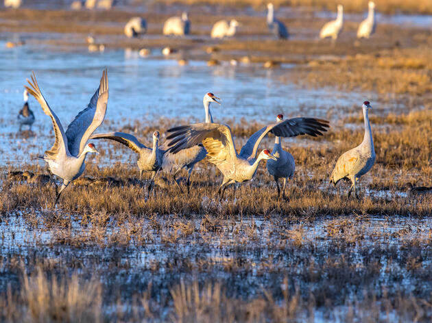 Urgent Action Needed: Support New Mexico’s Environment and Public Health