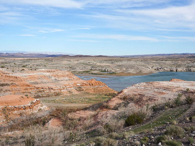 Connecting the Dots: From DCP and Lake Mead to Protecting Flowing Rivers and Habitat
