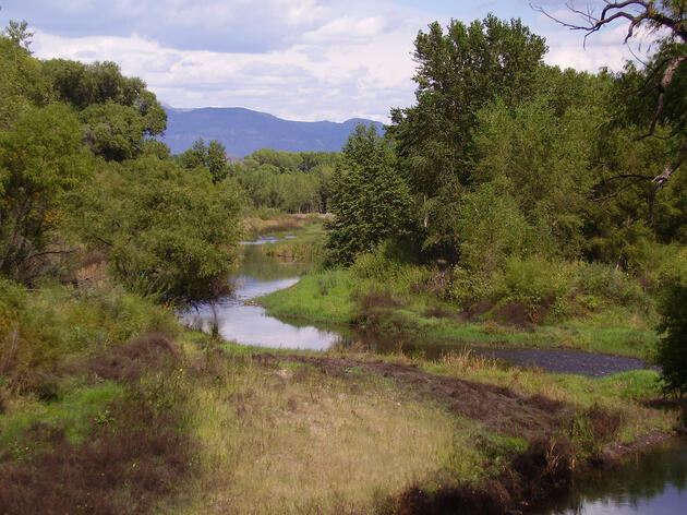 Gila River Among America's Most Endangered Rivers of 2014