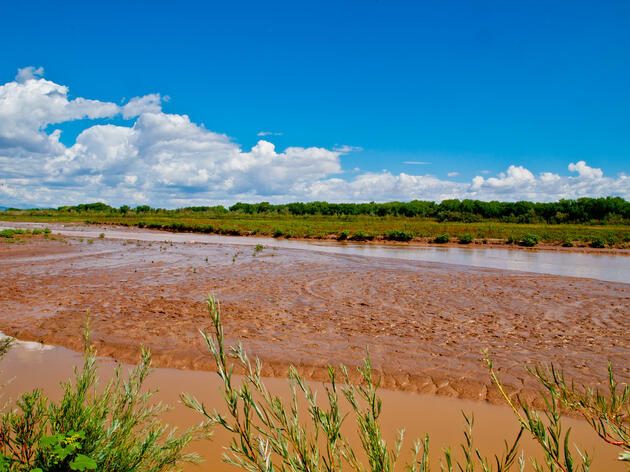 The Rio Grande is an important part of Audubon New Mexico's climate strategy 