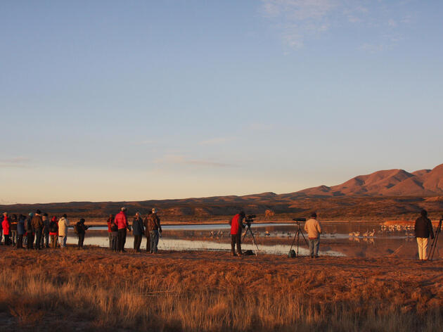 New Mexico Important Bird Areas