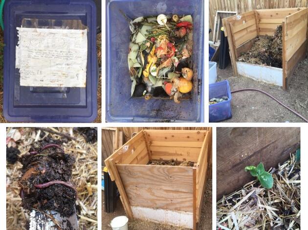 Is Homemade Compost better for growing healthier plants than plant food from a store?