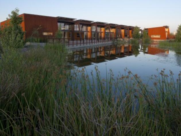 Nina Mason Pulliam Rio Salado Audubon Center