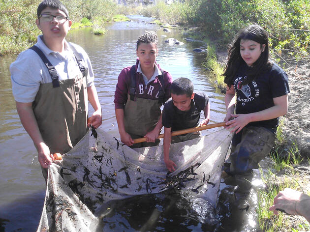 Audubon Arizona Receives $7,500 Commitment From RBC Blue Water Project To Protect Local Water