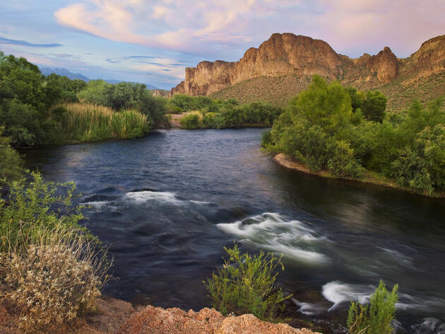 Audubon, Brewers, National Forest Foundation, and Northern Arizona University Team Up on Salt River Restoration Project