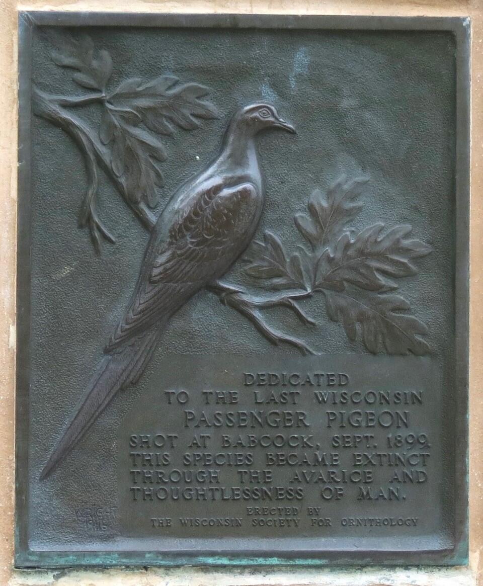 Passenger Pigeon Monument