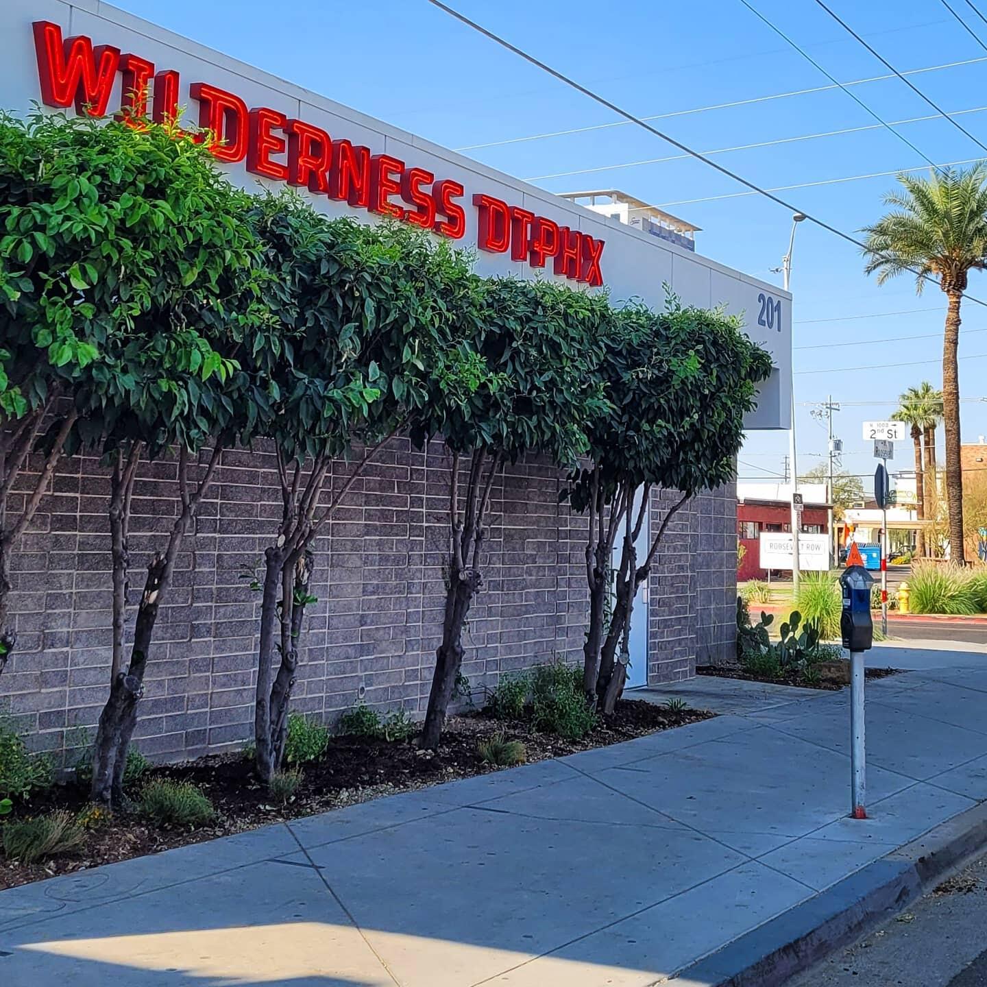 Arizona Wilderness Brewing Company's storefront on Roosevelt Avenue, now packed with native plants!