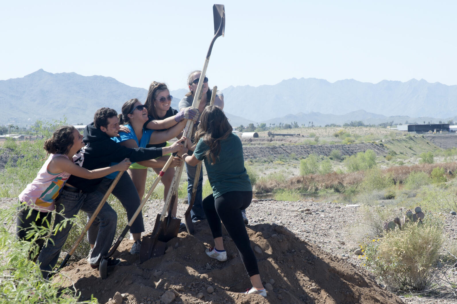 A team of Burrowing Owl workday volunteers triumphantly raise a shovel atop a heaping pile of dirt excavated from a new set of owl homes.