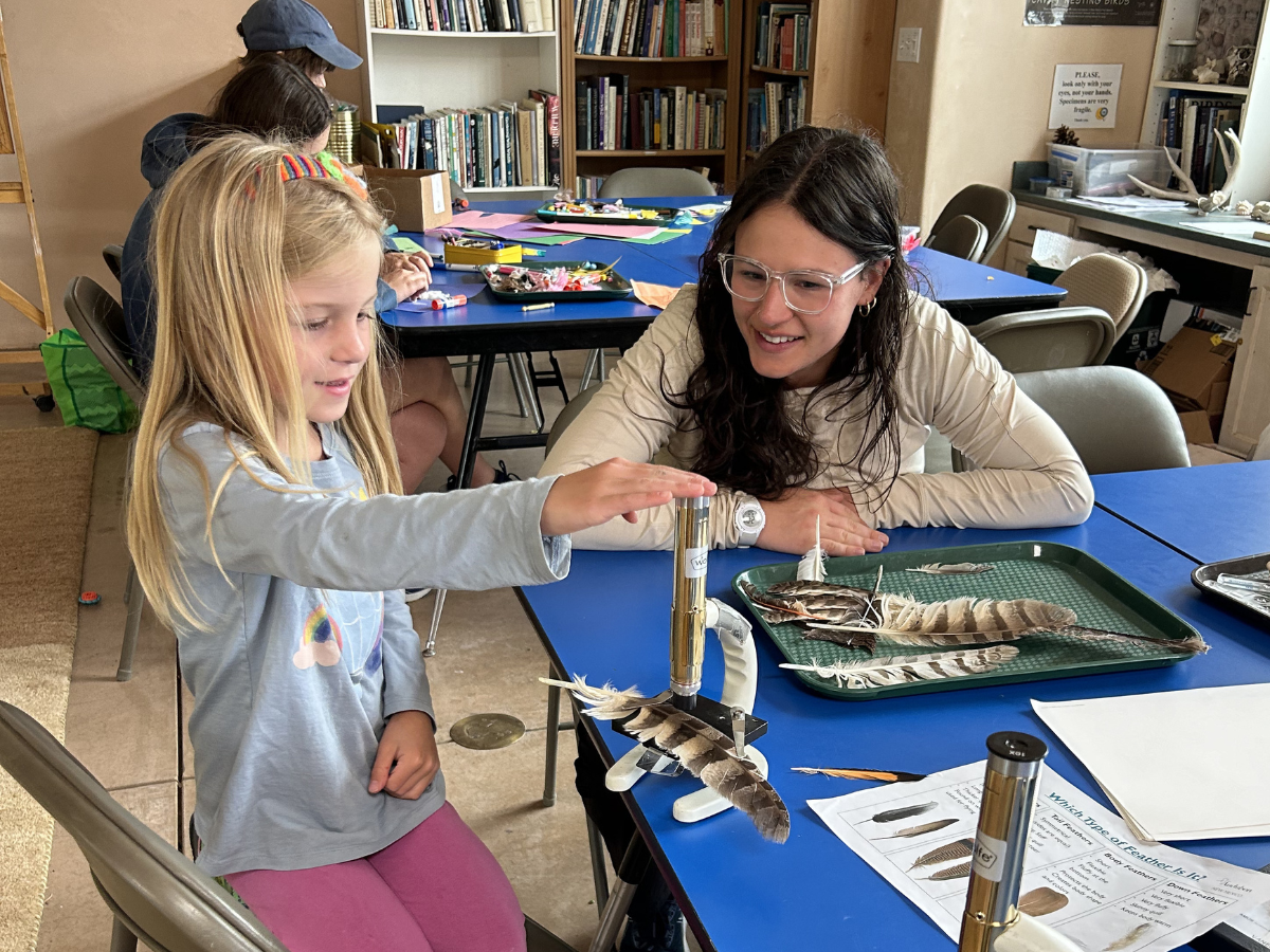 Campers investigate feather structures with guidance from Educator Hannah Singleton.