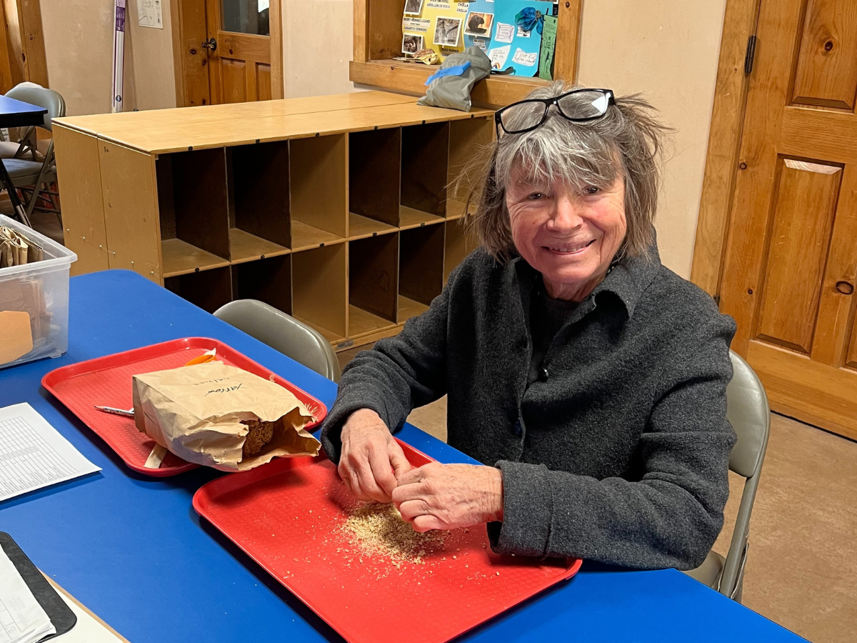 Mary McCormick packaging seed for our seed library.