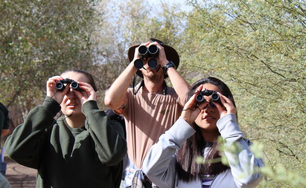 Great Backyard Bird Count | Audubon Southwest