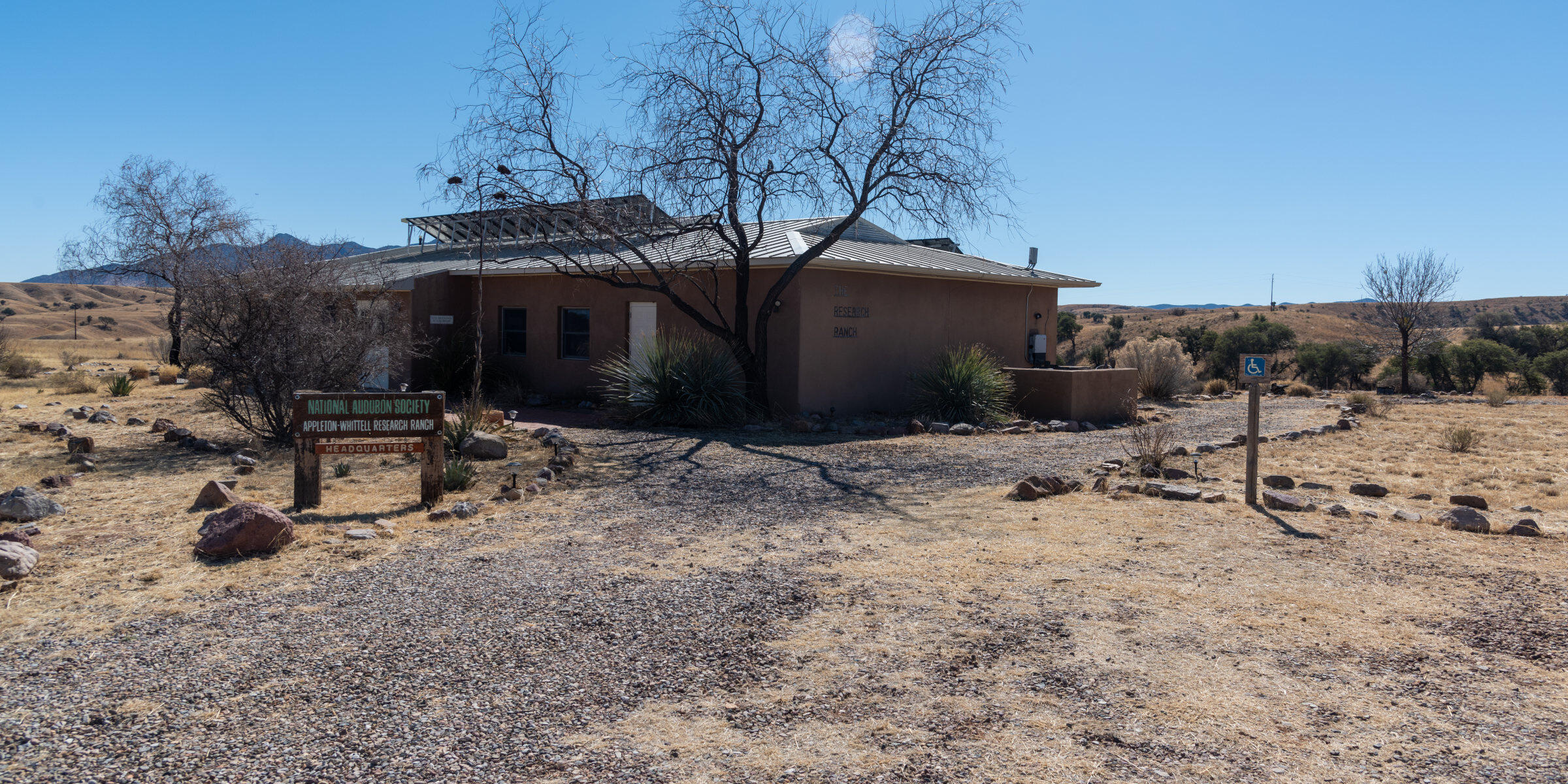 The Appleton-Whittell Research Ranch, a tan building in the middle of a grass and scrubland in southern Arizona.