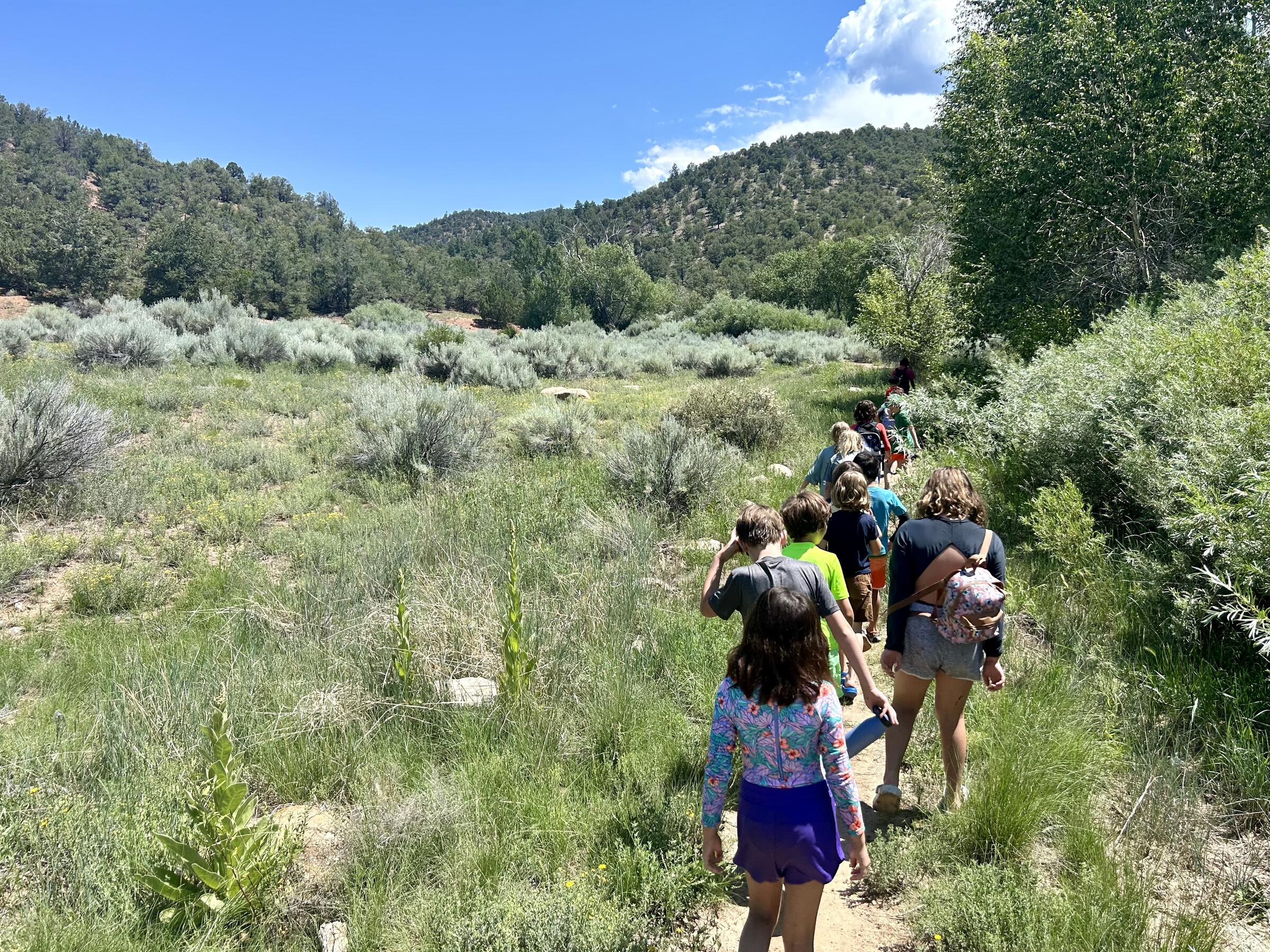 2024 Summer Campers at Randall Davey