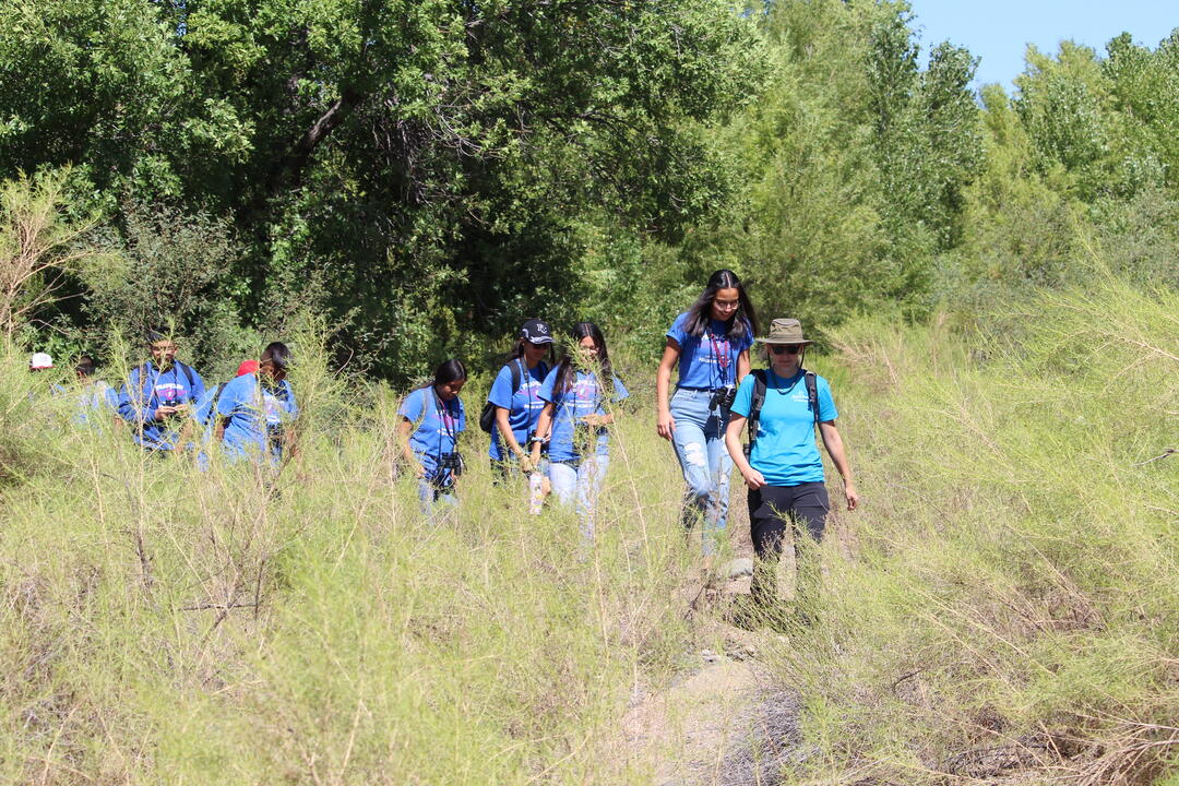 Students explore the deep green rivreside forest found on the Agua Fria National Monument.