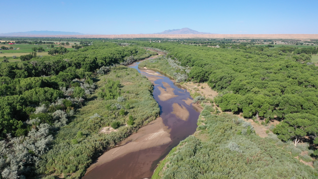The Rio Grande near Belen, New Mexico. Water in this photo is sourced from environmental water leases and is essential to keeping this portion of the river vibrant through dry times of the year. Once the water flows through this section of river it is ava
